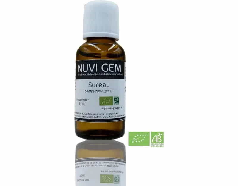 naturomarket20260928172807655002